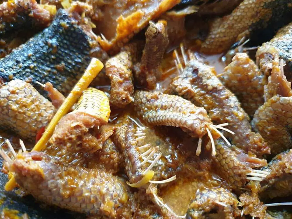 Thưởng thức Đẻn biển Quảng B&igrave;nh với hương vị thơm ngon kh&oacute; qu&ecirc;n 5