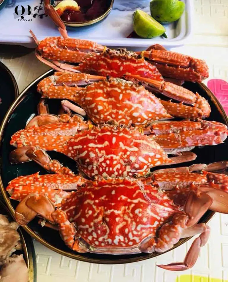 Top 10 qu&aacute;n nhậu Quảng B&igrave;nh l&yacute; tưởng để tụ tập c&ugrave;ng hội bạn th&acirc;n 4