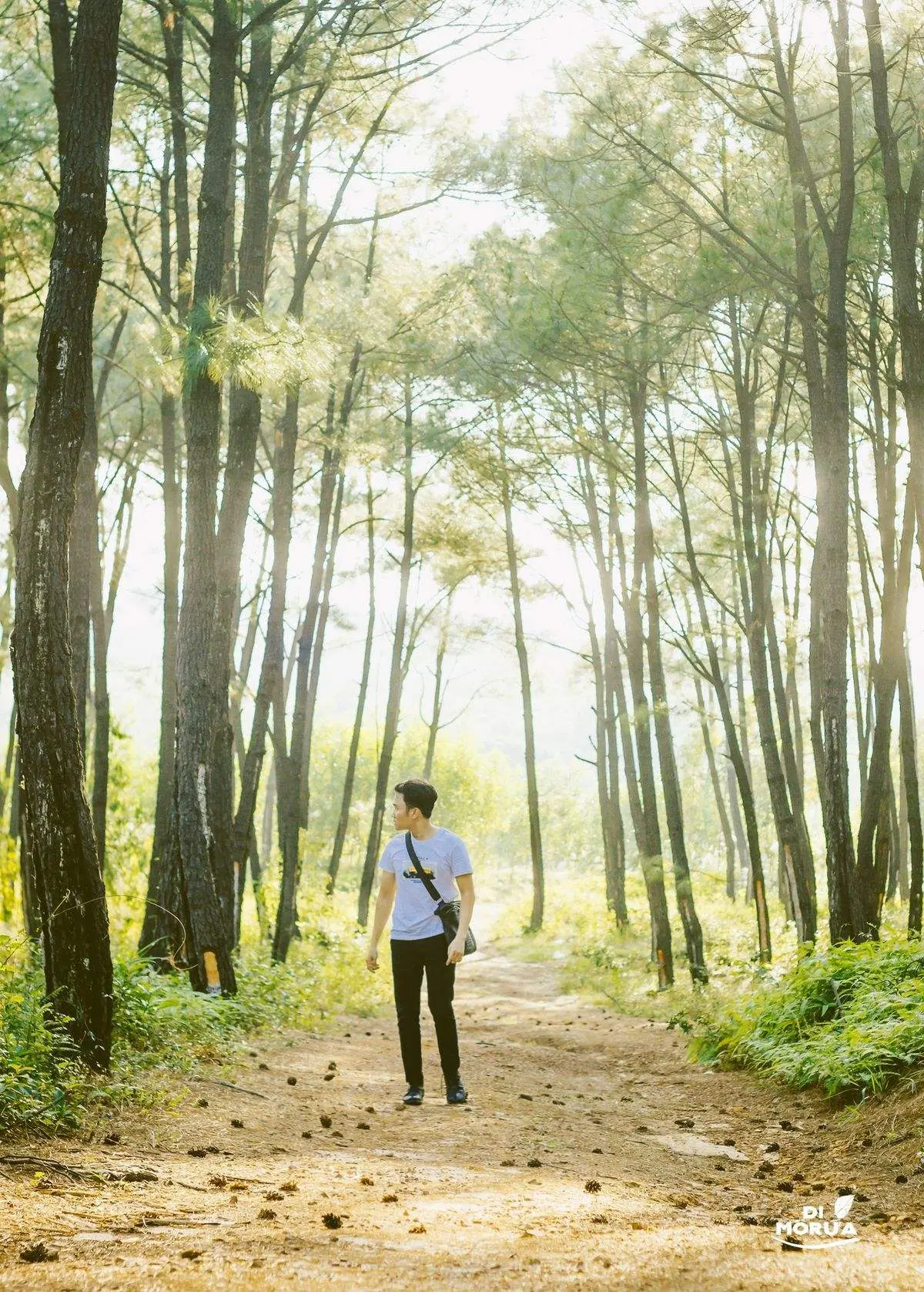 C&oacute; một Đ&agrave; Lạt ở Quảng B&igrave;nh vừa được bật m&iacute;, bạn c&oacute; biết chăng 2