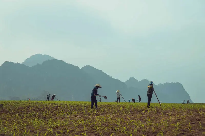 Làng du lịch Tân Hoá: Khám phá thiên thiên và bản sắc văn hóa độc đáo 4