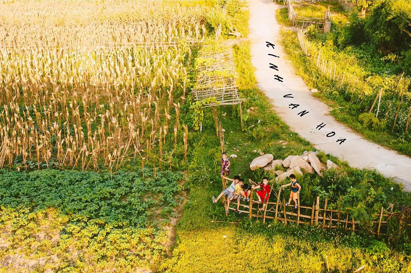 Ngồi lại nghe review Quảng B&igrave;nh v&agrave;o những ng&agrave;y nắng v&agrave;ng rực rỡ 3