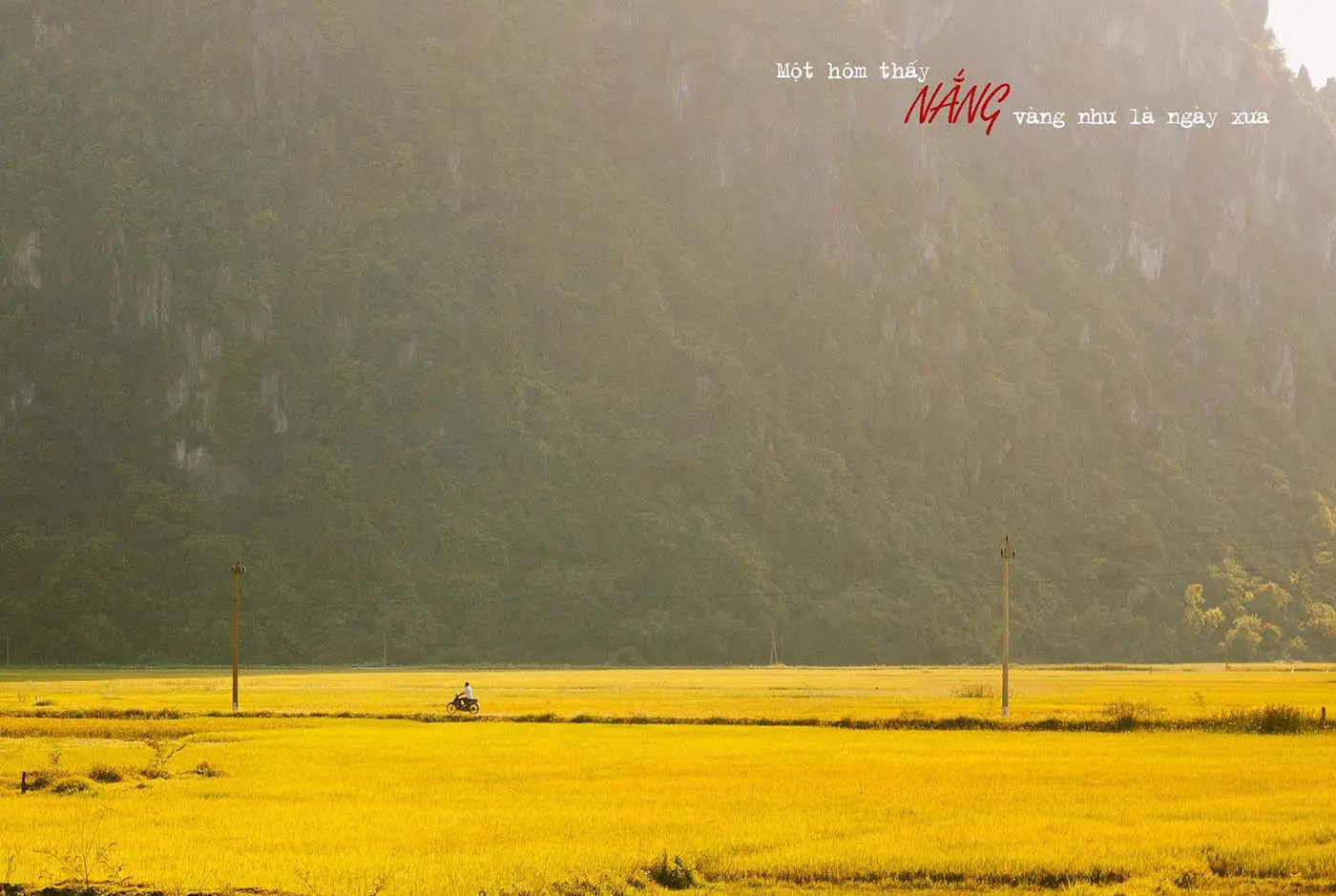 Ngồi lại nghe review Quảng B&igrave;nh v&agrave;o những ng&agrave;y nắng v&agrave;ng rực rỡ 7