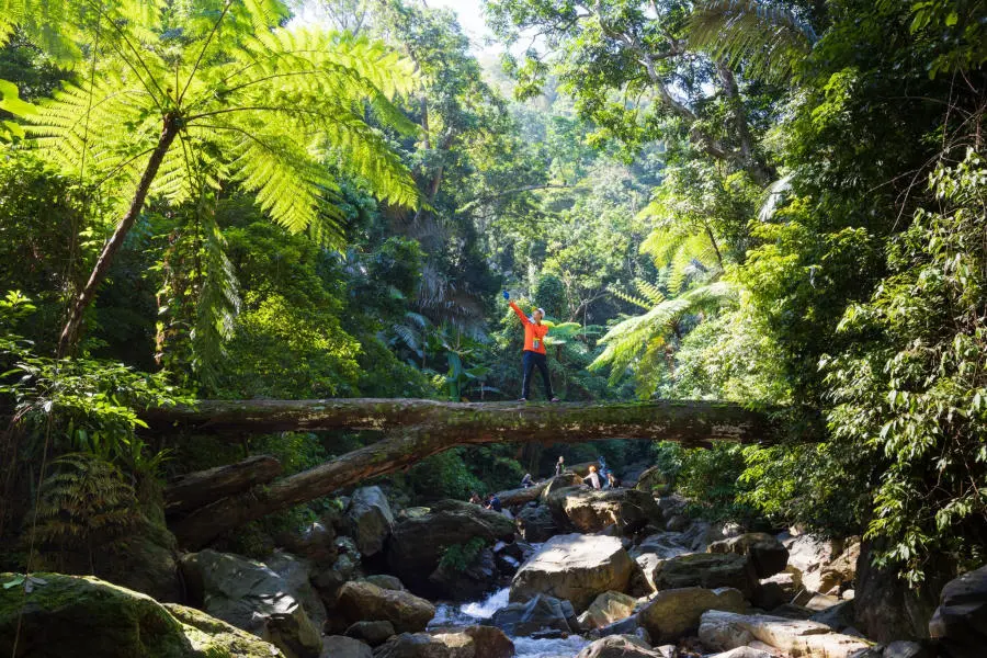 Review cung đường Trekking Quảng B&igrave;nh vượt qua Th&aacute;c Dương Cầm tuyệt đẹp 8