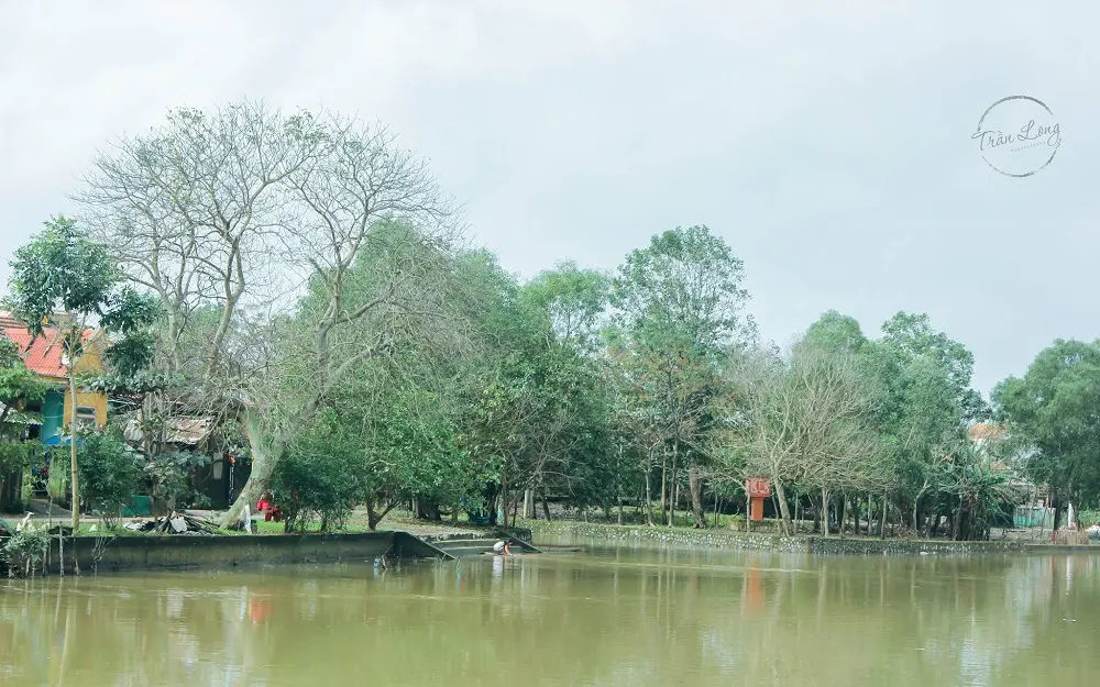Review Kiến Giang Lệ Thuỷ Quảng B&igrave;nh vẻ đẹp đắm say l&ograve;ng người 6