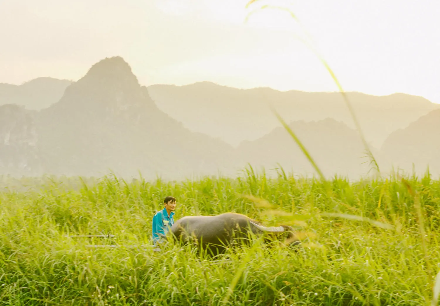 Review l&agrave;ng qu&ecirc; Quảng B&igrave;nh đẹp dịu d&agrave;ng m&ugrave;a cỏ lau 6