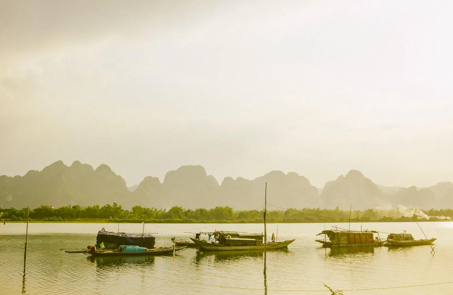 Review l&agrave;ng qu&ecirc; Quảng B&igrave;nh đẹp dịu d&agrave;ng m&ugrave;a cỏ lau 3