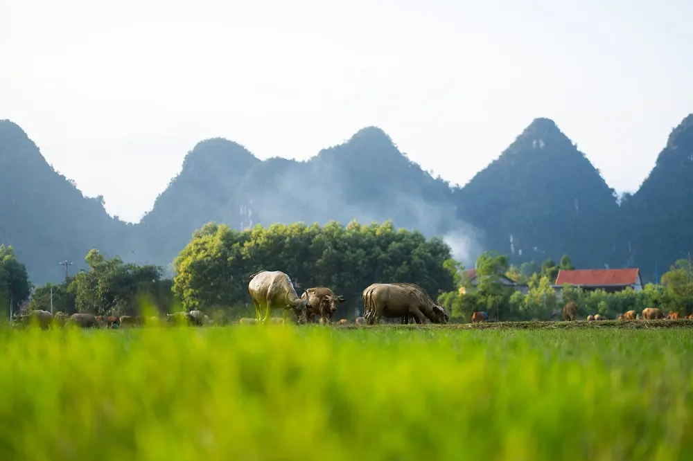 Thưởng ngoạn ho&agrave;ng h&ocirc;n m&ugrave;a đ&ocirc;ng T&acirc;n Ho&aacute; Quảng B&igrave;nh tuyệt đẹp 2