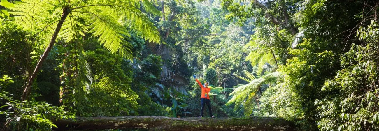 Review cung đường Trekking Quảng Bình vượt qua Thác Dương Cầm tuyệt đẹp