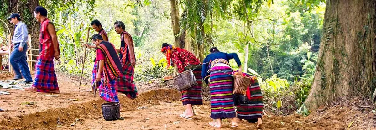 Lễ hội trỉa lúa Quảng Bình, tín ngưỡng độc đáo của dân tộc vùng cao