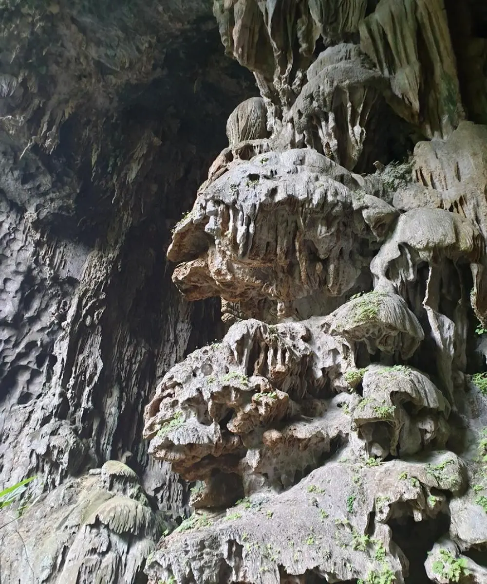 Gợi &yacute; Lịch tr&igrave;nh kh&aacute;m ph&aacute; hang Voi Thung lũng Ma Đa Quảng B&igrave;nh 3