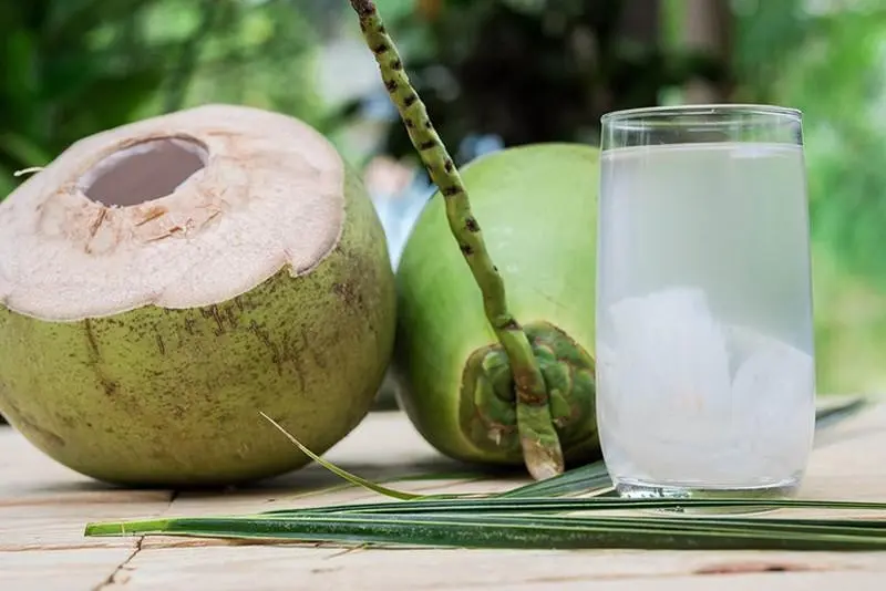 Dừa Tam Quan, sản vật trời ban của v&ugrave;ng đất B&igrave;nh Định 6