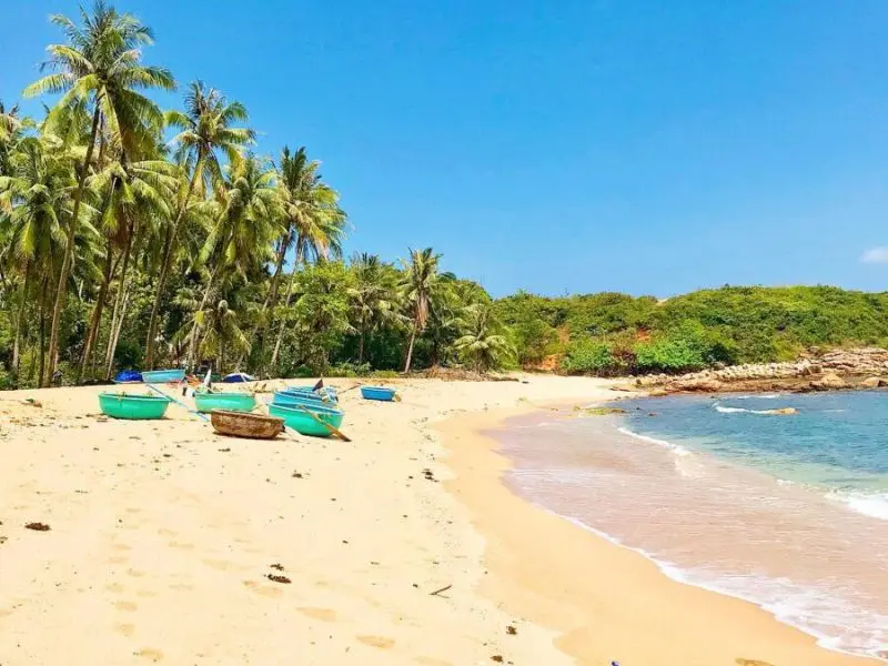Cẩm nang du lịch B&atilde;i Rạng Quy Nhơn: Mọi thứ bạn cần biết trước khi đi 3