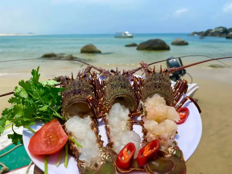 Du lịch b&atilde;i biển Đề Gi: Đắm m&igrave;nh trong vẻ đẹp của biển cả Quy Nhơn 8