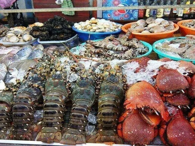 Gh&eacute; thăm biển Ho&agrave;i Hải: Khoảnh khắc y&ecirc;n b&igrave;nh giữa nhịp sống hối hả 6