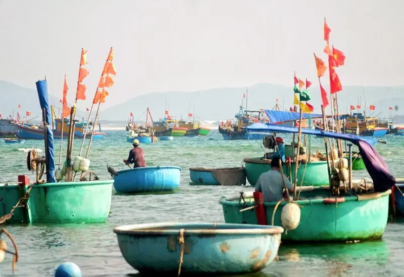 Kh&aacute;m ph&aacute; Mũi Vi Rồng: Tuyệt t&aacute;c thi&ecirc;n nhi&ecirc;n kỳ vĩ ở Quy Nhơn 6