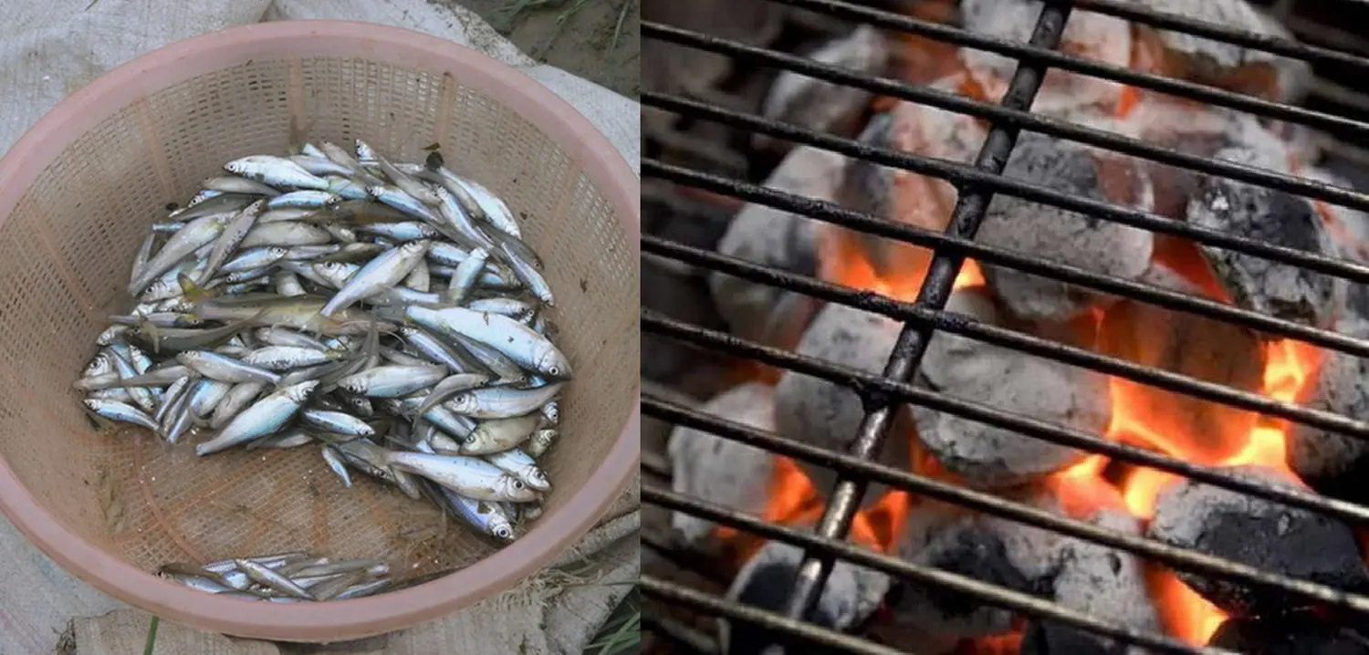 L&ecirc;n Sapa thưởng thức đặc sản c&aacute; suối nướng - M&oacute;n ngon đậm chất v&ugrave;ng cao T&acirc;y Bắc 3