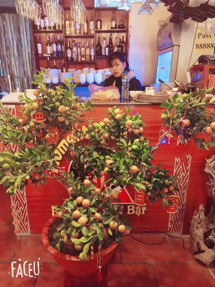 Sapa Moment Romantic restaurant - Thưởng thức trọn vẹn đặc sản Sapa ch&iacute;nh gốc 3