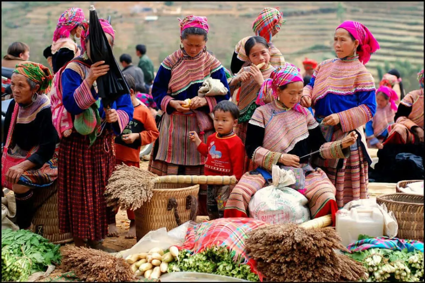 Say l&ograve;ng với đặc sản t&aacute;o m&egrave;o, mắc cọp nơi n&uacute;i rừng T&acirc;y Bắc 11