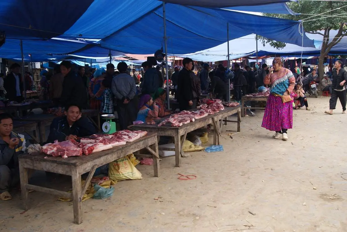 Thịt lợn cắp n&aacute;ch - Loại thịt rừng nh&acirc;n tạo được t&iacute;n đồ ẩm thực săn l&ugrave;ng 6