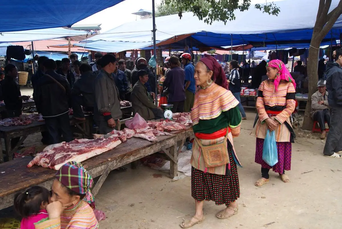 Thịt lợn cắp n&aacute;ch - Loại thịt rừng nh&acirc;n tạo được t&iacute;n đồ ẩm thực săn l&ugrave;ng 7