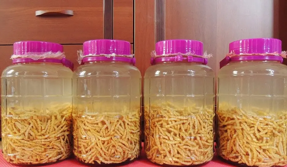 Top 5 loại rượu Sapa đ&aacute;ng thưởng thức nhất khi du lịch T&acirc;y Bắc 6