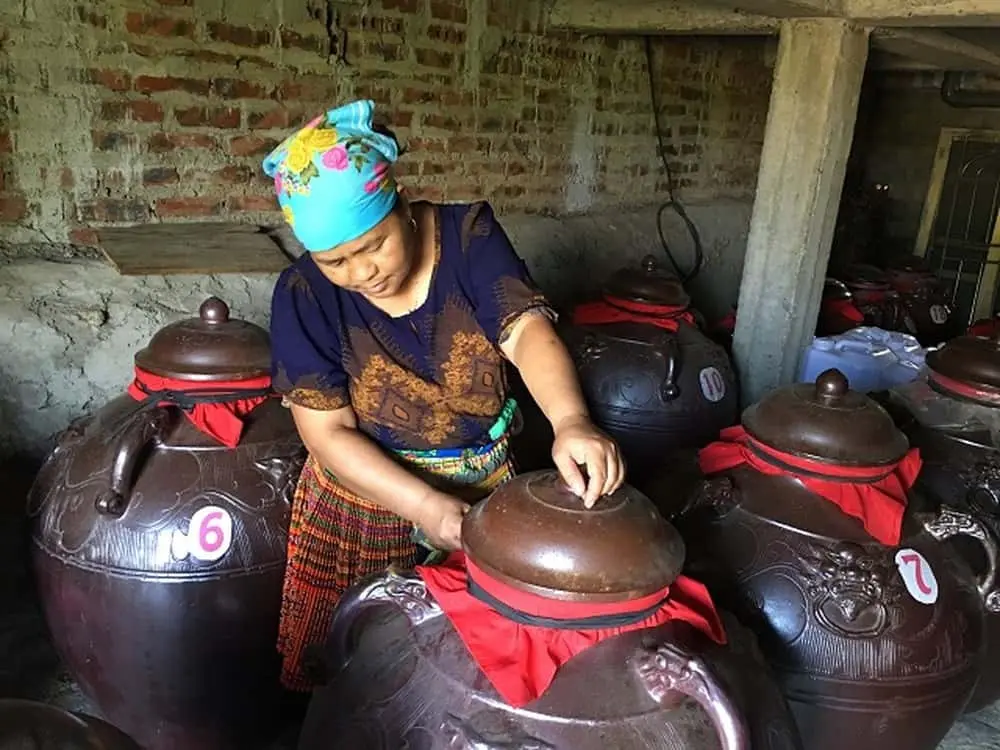 Top 5 loại rượu Sapa đ&aacute;ng thưởng thức nhất khi du lịch T&acirc;y Bắc 3