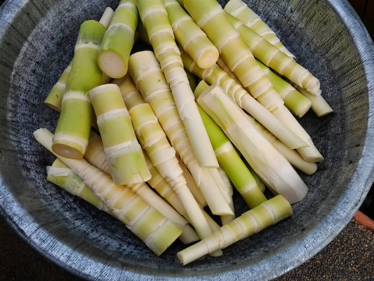 Măng chua Sapa - Món quà dân dã bình dị từ thành phố Sapa xinh đẹp