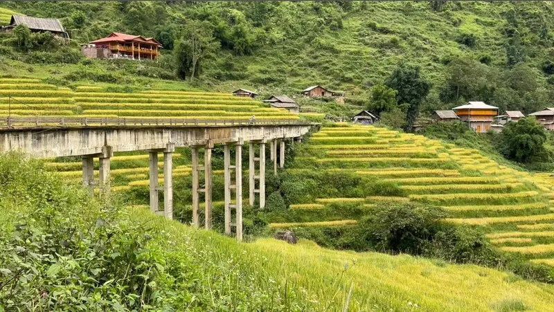 Bản Lao Chải b&igrave;nh y&ecirc;n như bản t&igrave;nh ca của n&uacute;i đồi Sapa 3