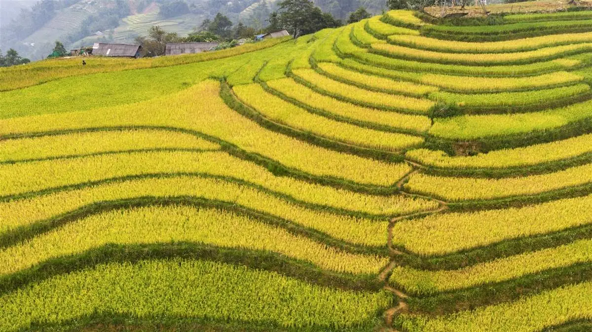 Bỏ t&uacute;i ngay 6 trải nghiệm bạn n&ecirc;n thử một lần tại Sapa 10