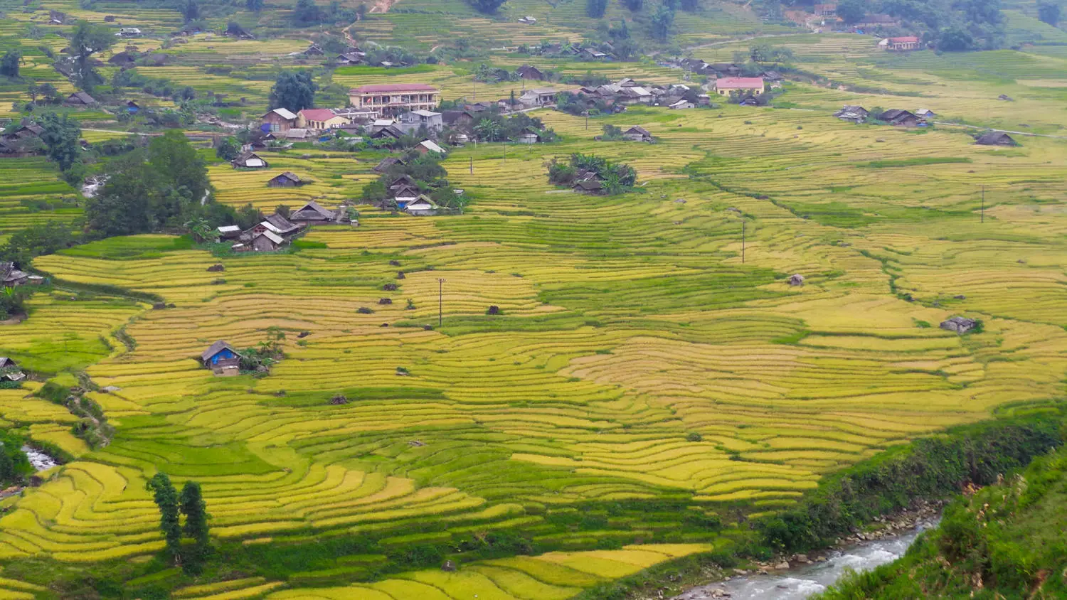 Chuyến Khám phá Sapa không hồi kết của chàng trai Nguyễn Thanh Tuấn 5