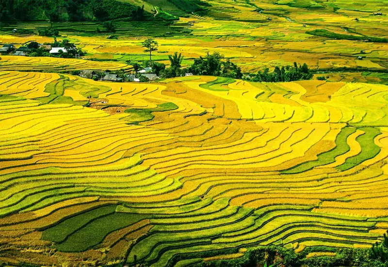 C&oacute; một Sapa dịu d&agrave;ng trong mắt c&ocirc; n&agrave;ng Đo&agrave;n Nhật Tuệ 16
