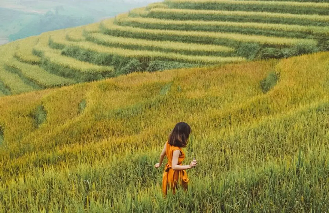 Đắm say trước bức tranh bốn m&ugrave;a xinh đẹp tại Sapa 4