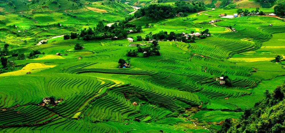 Đất trời Sapa 12 th&aacute;ng với cảnh sắc biến đổi say đắm l&ograve;ng người 8