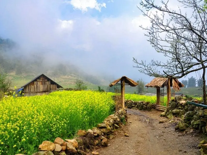 Du lịch Sapa Tết 2026: Kỳ nghỉ tuyệt vời giữa bồng lai ti&ecirc;n cảnh 2