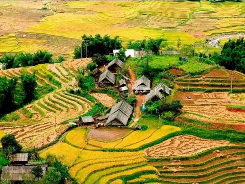 Du lịch Sapa Tết 2026: Kỳ nghỉ tuyệt vời giữa bồng lai ti&ecirc;n cảnh 4