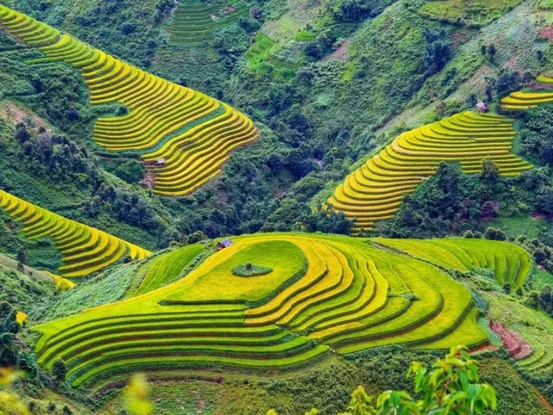 Du lịch Sapa Tết 2026: Kỳ nghỉ tuyệt vời giữa bồng lai ti&ecirc;n cảnh 7