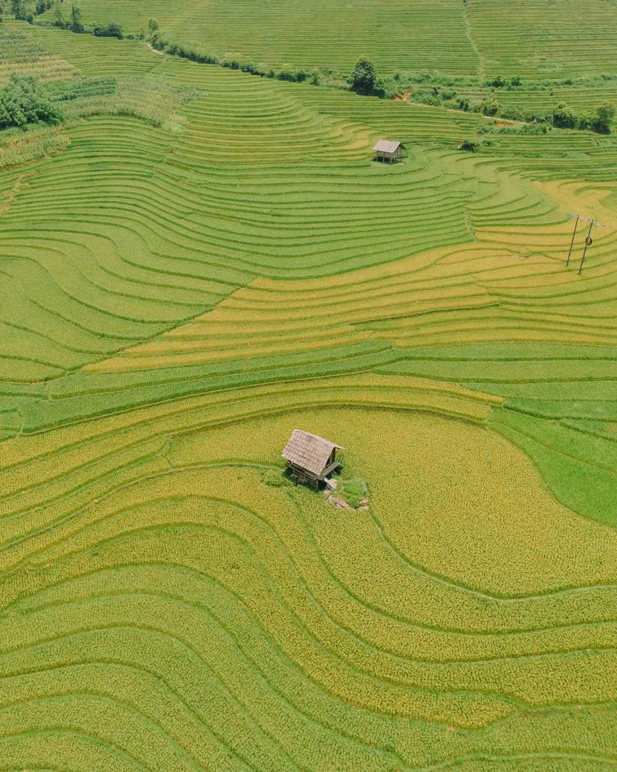 Kh&aacute;m ph&aacute; Nậm Cang m&ugrave;a l&uacute;a ch&iacute;n mộc mạc v&agrave; rất đỗi b&igrave;nh dị 4