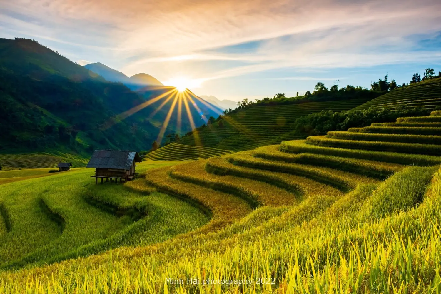 M&ugrave;a l&uacute;a ch&iacute;n ở Nậm Cang, cảnh sắc say đắm l&ograve;ng người 3
