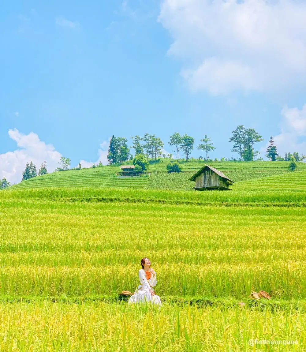 M&ugrave;a L&uacute;a Nậm Cang Sapa mang theo vẻ đẹp b&igrave;nh y&ecirc;n đến nao l&ograve;ng 6