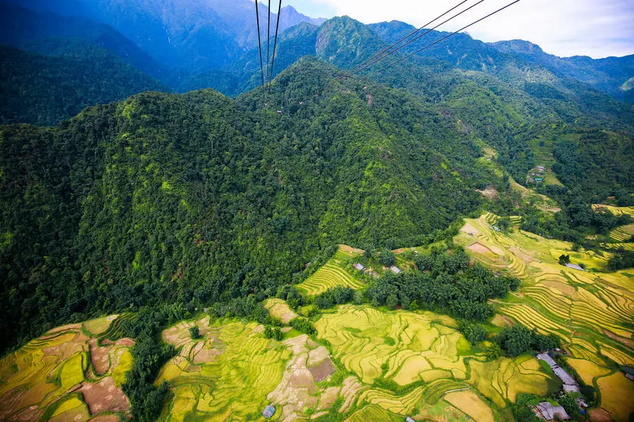 M&ugrave;a v&agrave;ng Fansipan rực rỡ giữa thi&ecirc;n nhi&ecirc;n L&agrave;o Cai 8