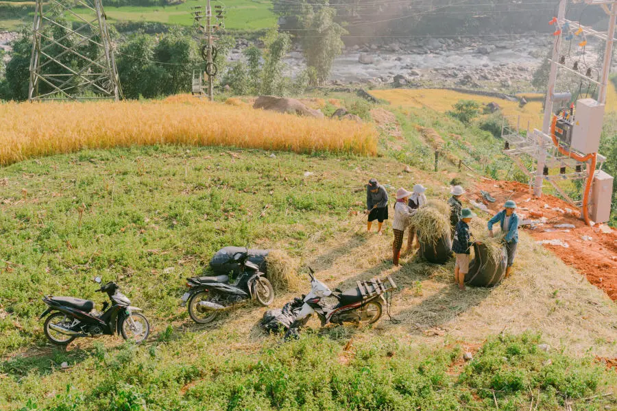 M&ugrave;a v&agrave;ng tr&ecirc;n Bản Tả Van dịu d&agrave;ng trong đ&ocirc;i mắt của lữ kh&aacute;ch bốn phương 3