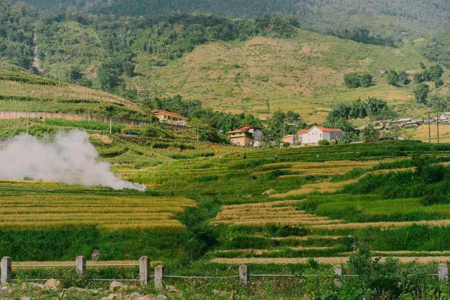 M&ugrave;a v&agrave;ng tr&ecirc;n Bản Tả Van dịu d&agrave;ng trong đ&ocirc;i mắt của lữ kh&aacute;ch bốn phương 6