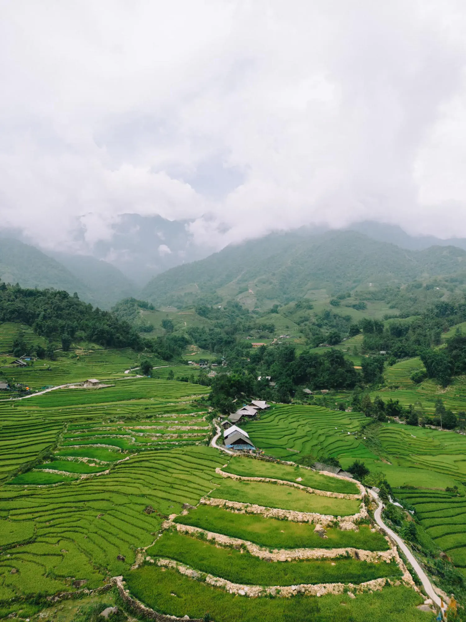 Review Tả Van m&ugrave;a l&uacute;a ch&iacute;n đẹp đắm say l&ograve;ng người 7