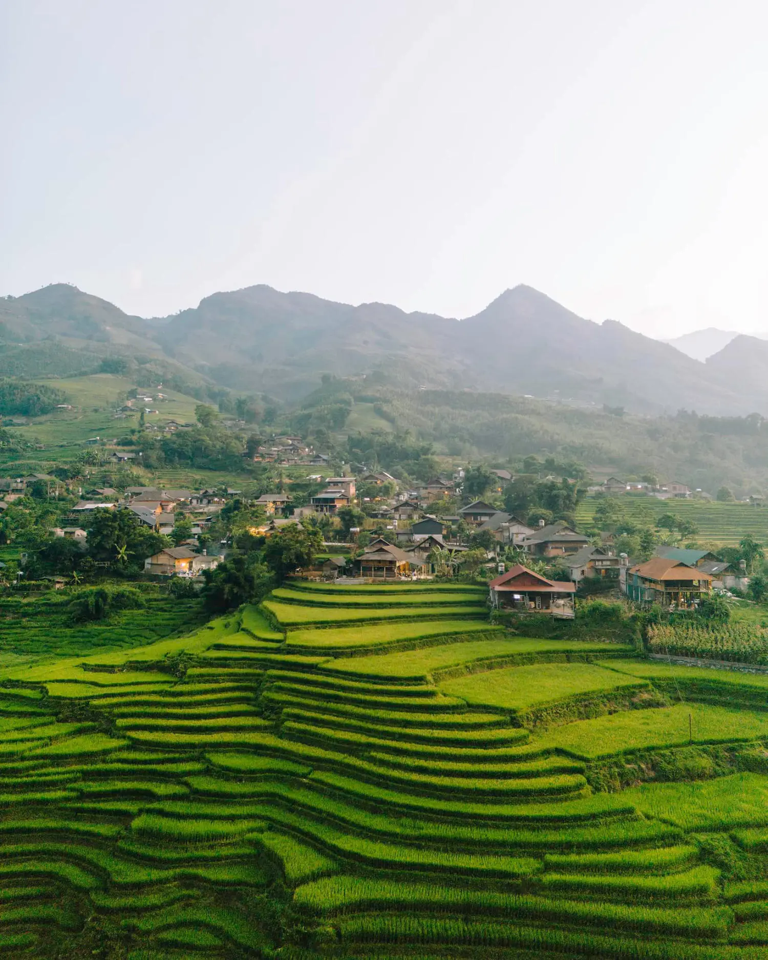Review Tả Van m&ugrave;a l&uacute;a ch&iacute;n đẹp đắm say l&ograve;ng người 5