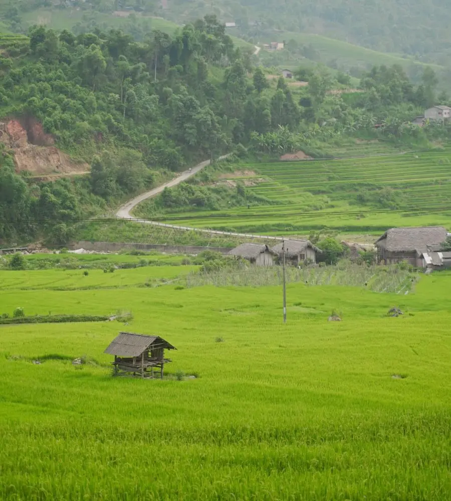 Sapa th&aacute;ng 7 đẹp ngẩn ngơ c&ugrave;ng m&ugrave;a l&uacute;a Nậm Cang bao quanh bản l&agrave;ng 2