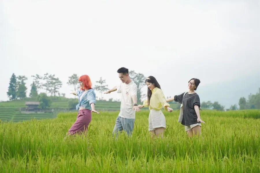 Sapa th&aacute;ng 7 đẹp ngẩn ngơ c&ugrave;ng m&ugrave;a l&uacute;a Nậm Cang bao quanh bản l&agrave;ng 5