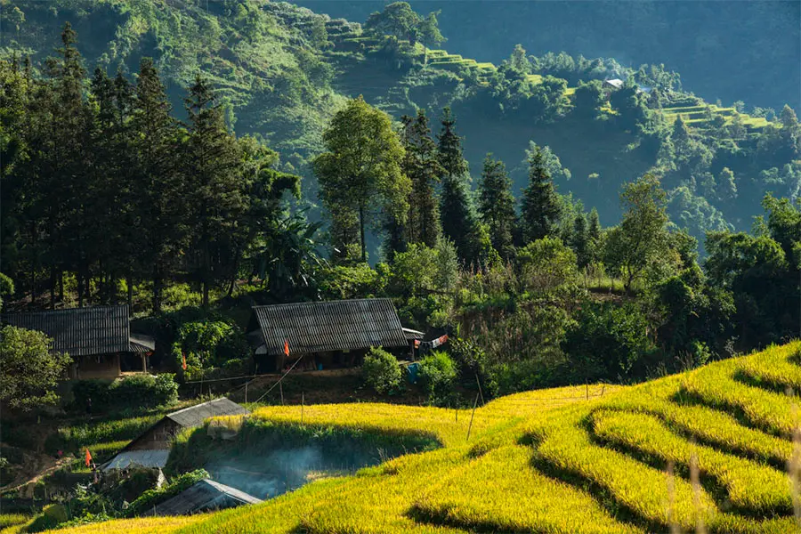 Vẻ đẹp rực rỡ của m&ugrave;a v&agrave;ng Sapa đẹp như bước ra từ tranh vẽ 3