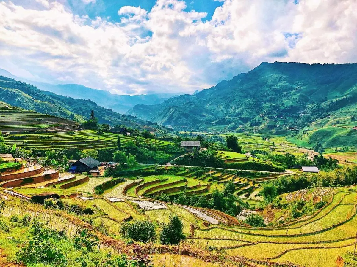 Đắm say trước bức tranh bốn mùa xinh đẹp tại Sapa