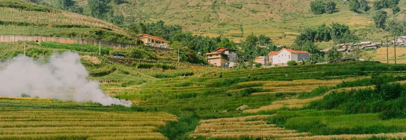 Mùa vàng trên Bản Tả Van dịu dàng trong đôi mắt của lữ khách bốn phương