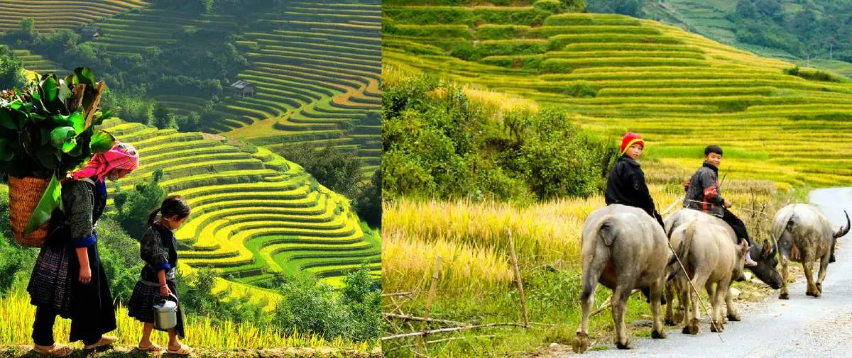 Vùng đất Mông Cổ ở Sapa - Nơi bình yên và thư giãn tâm hồn